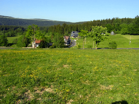 Scheibe-Alsbach